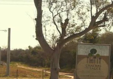 Terrenos en loteo